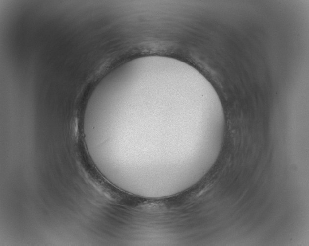 X0000073480067200608281600