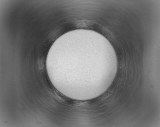 X0000073480081200608281600