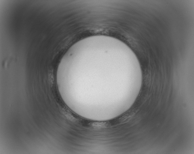 X0000073480085200608281600