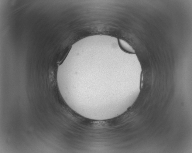 X0000073480087200608281600