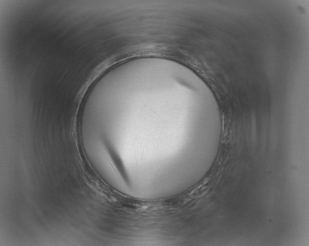 X0000073480099200608281600