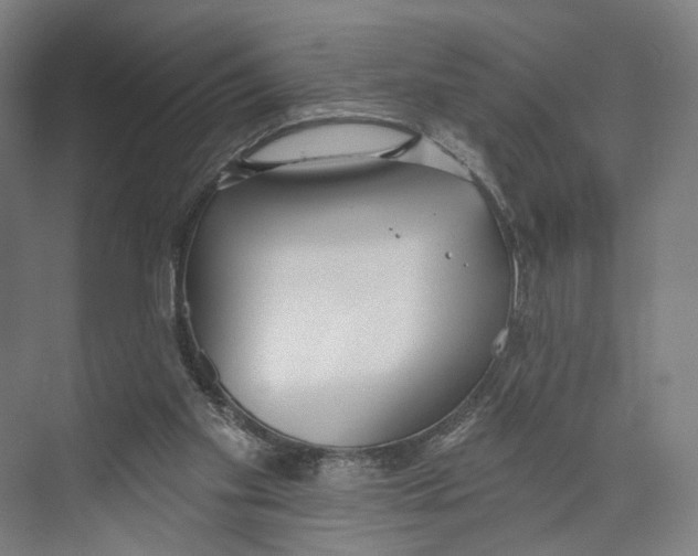 X0000073480109200608281600