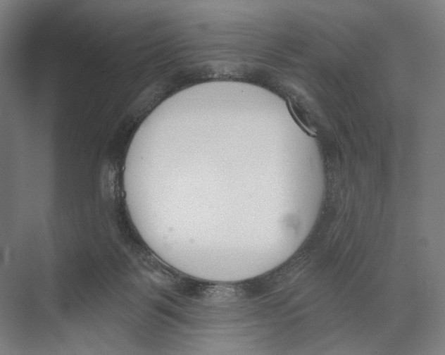 X0000073480123200608281559