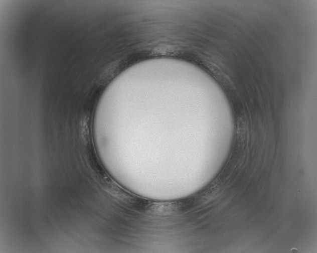 X0000073480127200608281559