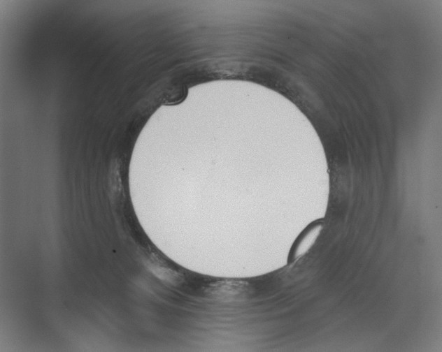 X0000073480128200608281559