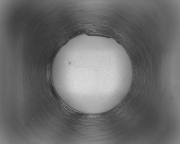X0000073480129200608281559