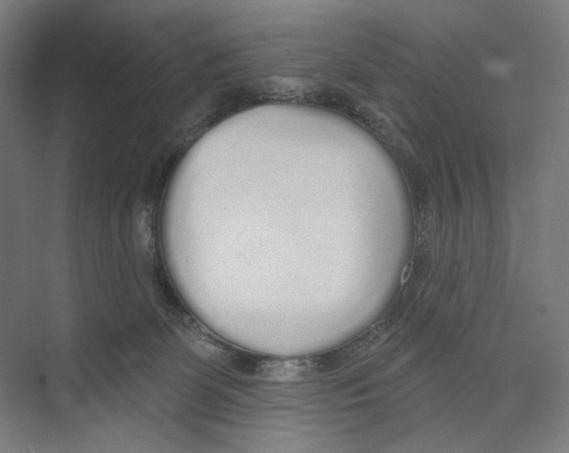 X0000073480131200608281559
