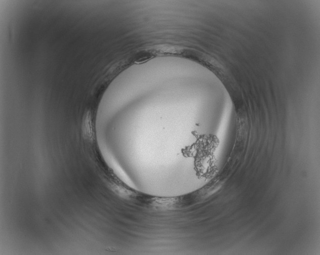 X0000073480143200608281559