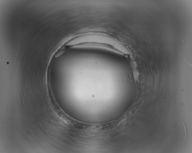 X0000073480148200608281558