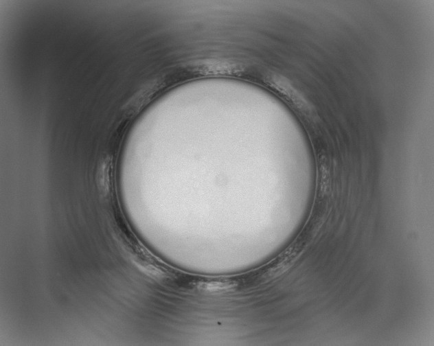 X0000073480165200608281559