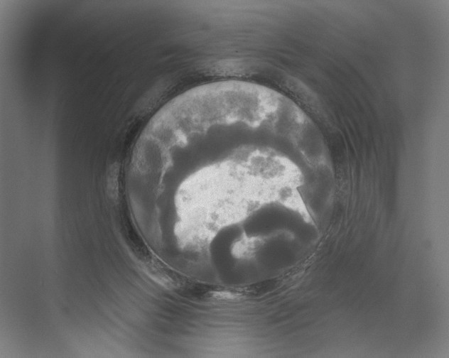 X0000073480167200608281559