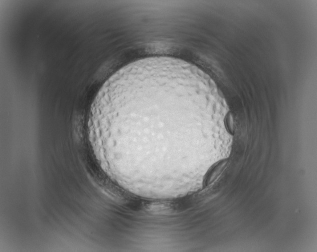 X0000073480171200608281559