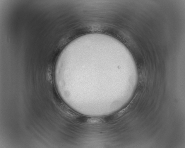 X0000073480175200608281559