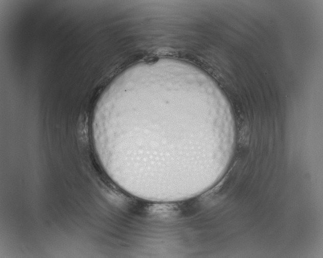 X0000073480179200608281559