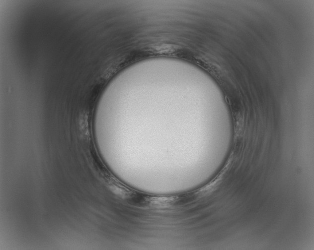 X0000073480182200608281559
