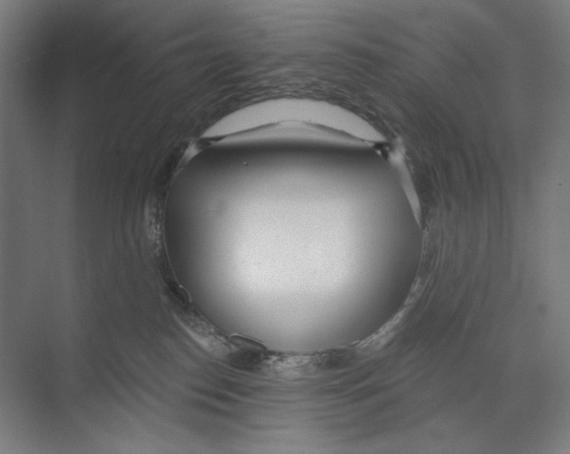 X0000073480186200608281559