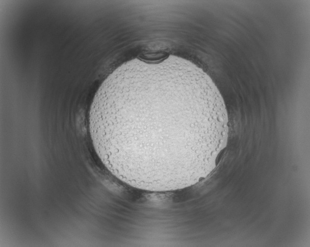 X0000073480187200608281559