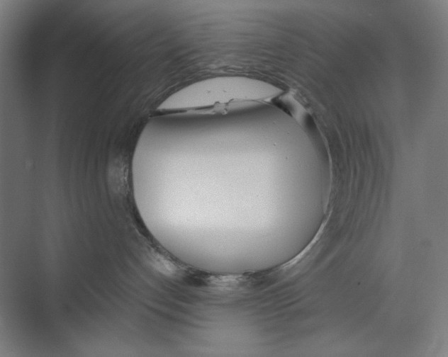 X0000073480192200608281559