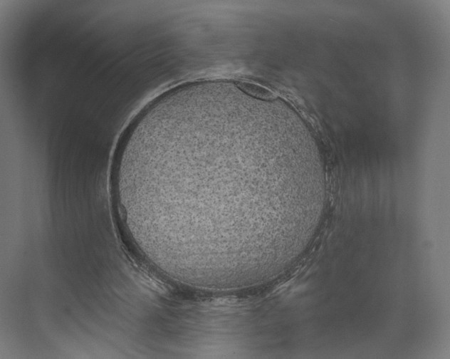 X0000073480196200608281558