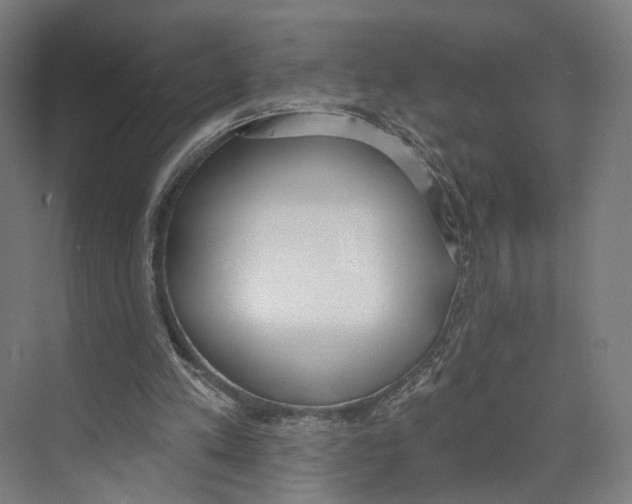 X0000073480197200608281558