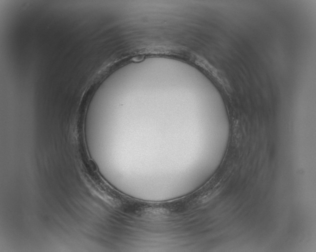 X0000073480203200608281558