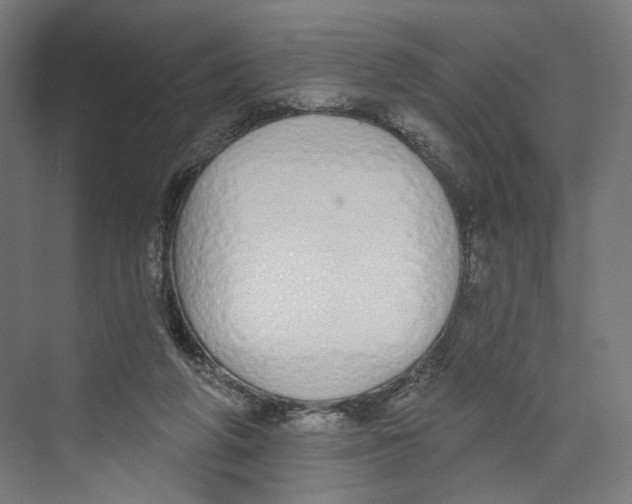 X0000073480210200608281558
