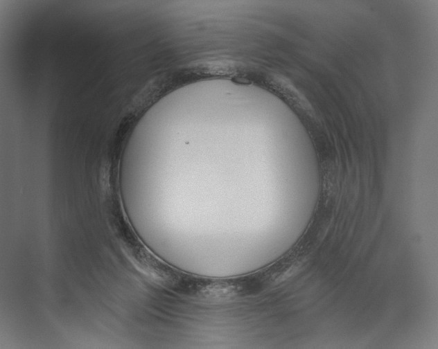 X0000073480213200608281558