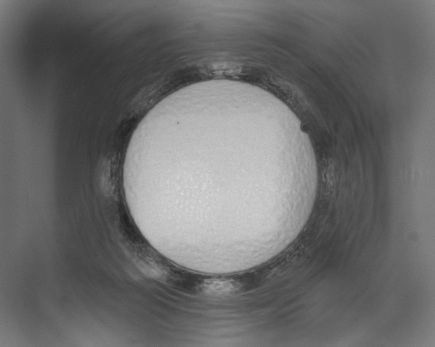 X0000073480218200608281558