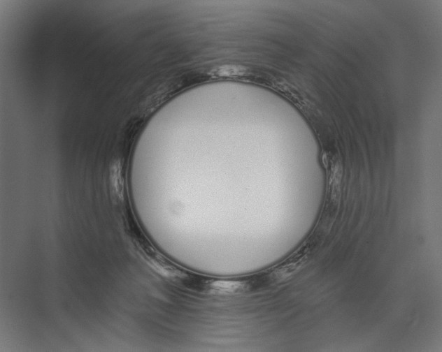 X0000073480222200608281558