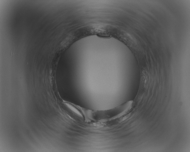 X0000073480223200608281558