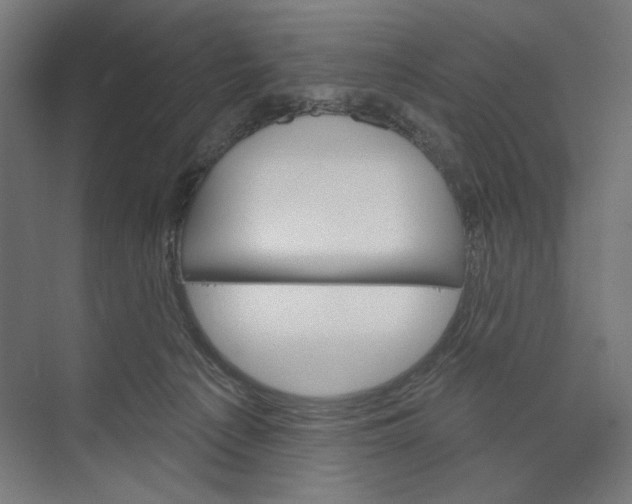 X0000073480225200608281558