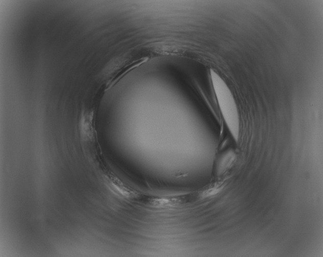 X0000073480239200608281557