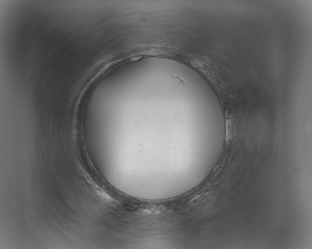 X0000073480243200608281557