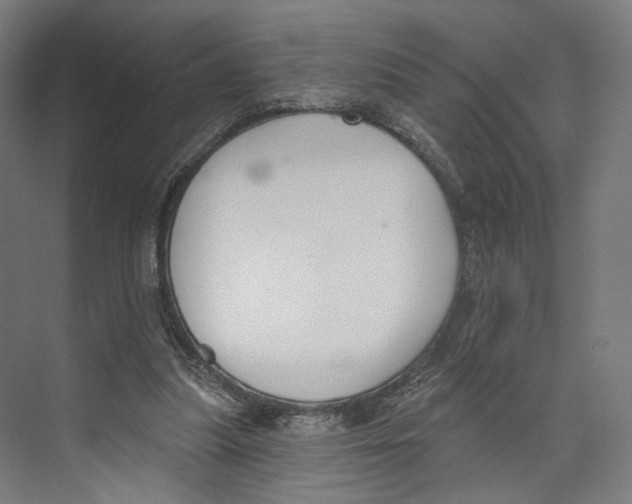 X0000073480251200608281557