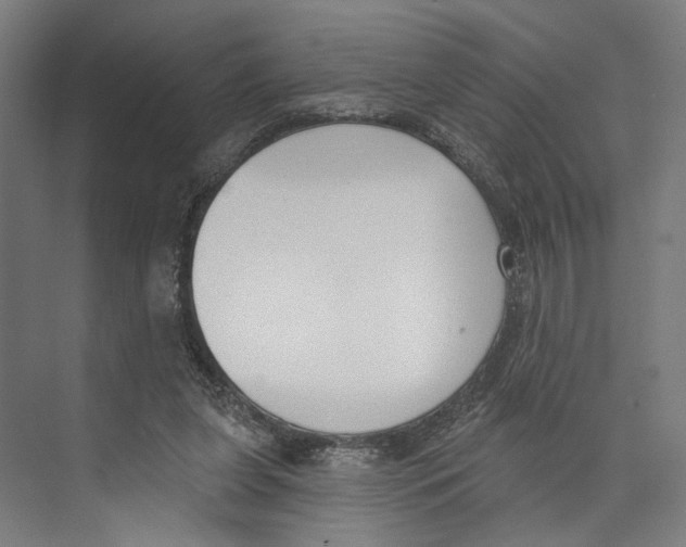 X0000073480255200608281557