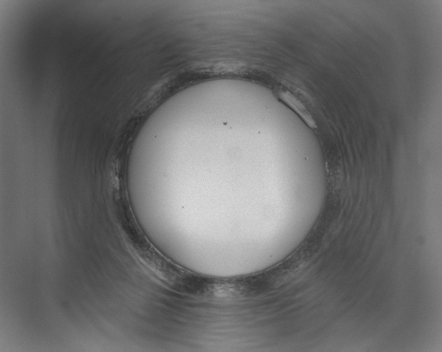 X0000073480264200608281557