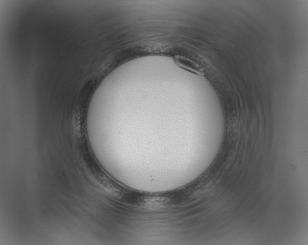 X0000073480268200608281557