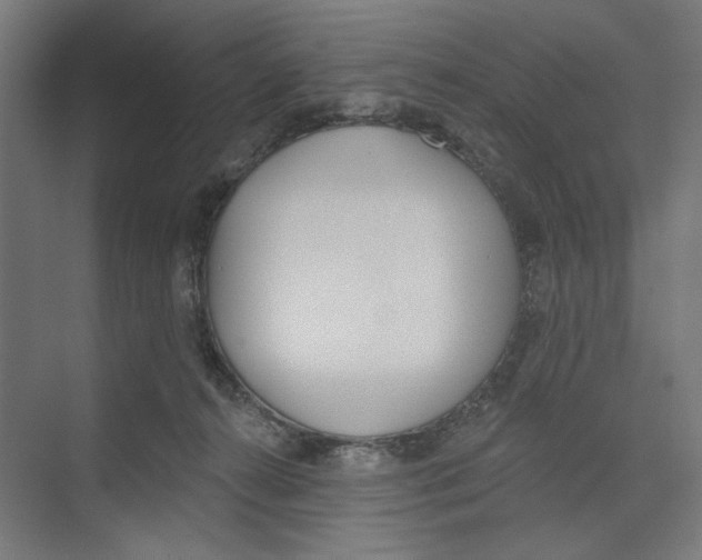 X0000073480272200608281557