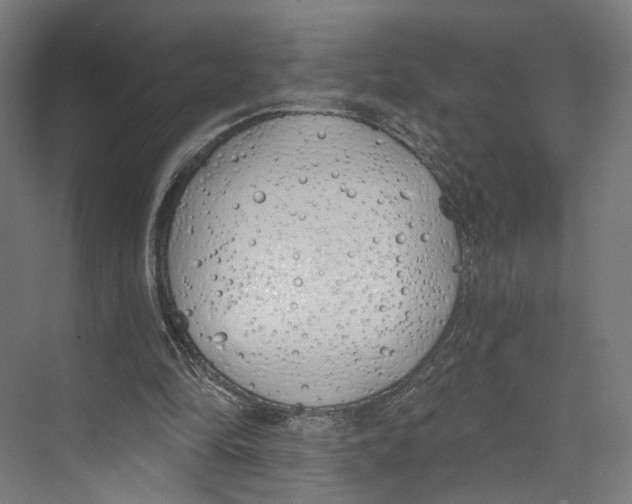 X0000073480294200608281556