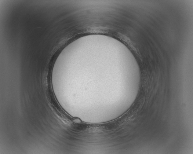 X0000073480299200608281556