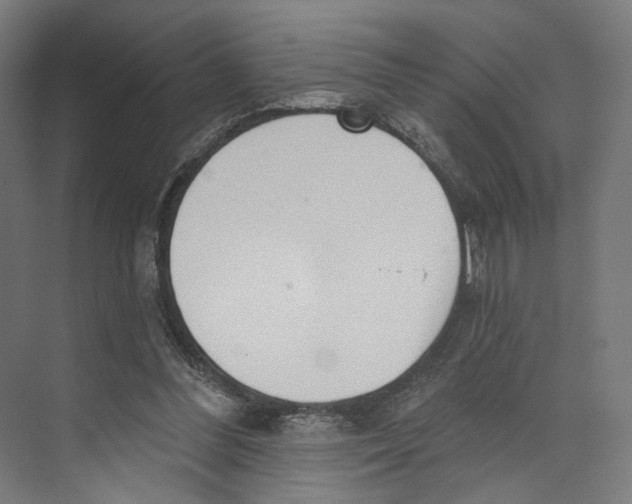 X0000073480300200608281556