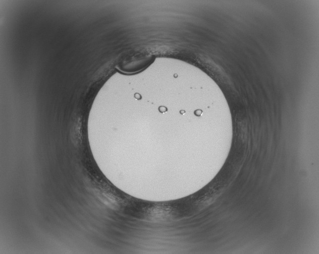 X0000073480308200608281556