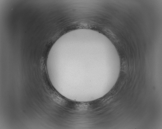 X0000073480318200608281556