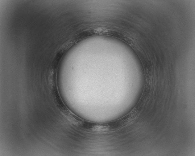 X0000073480319200608281556