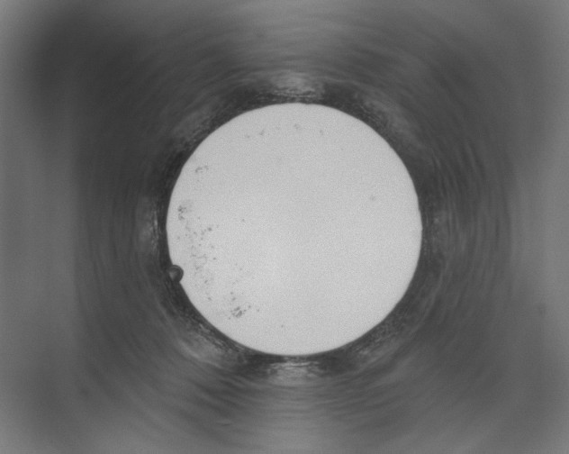 X0000073480320200608281556