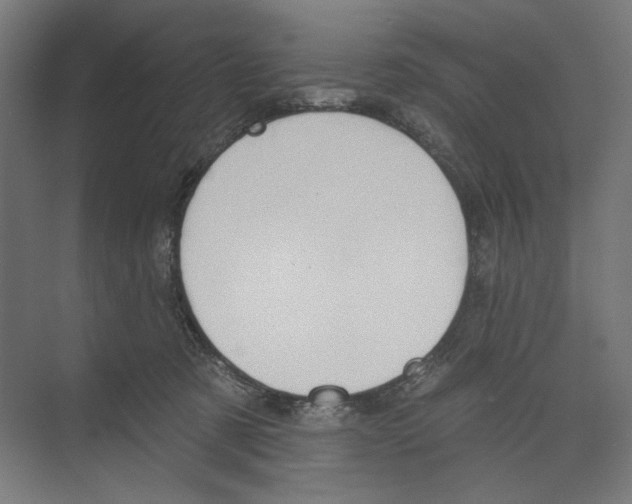 X0000073480321200608281556