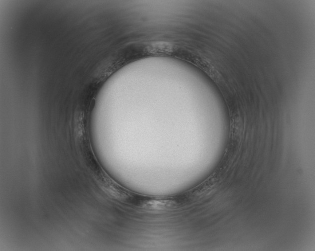 X0000073480323200608281556