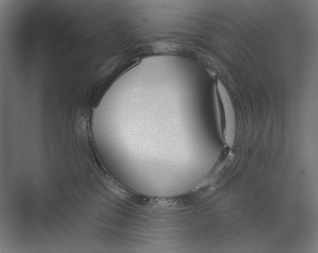 X0000073480329200608281556