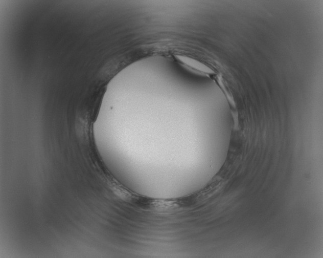 X0000073480333200608281556