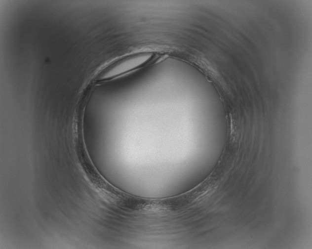 X0000073480348200608281555